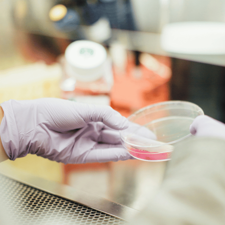 The 2026 SRM Software Buyer's Guide: How to pick the right tool