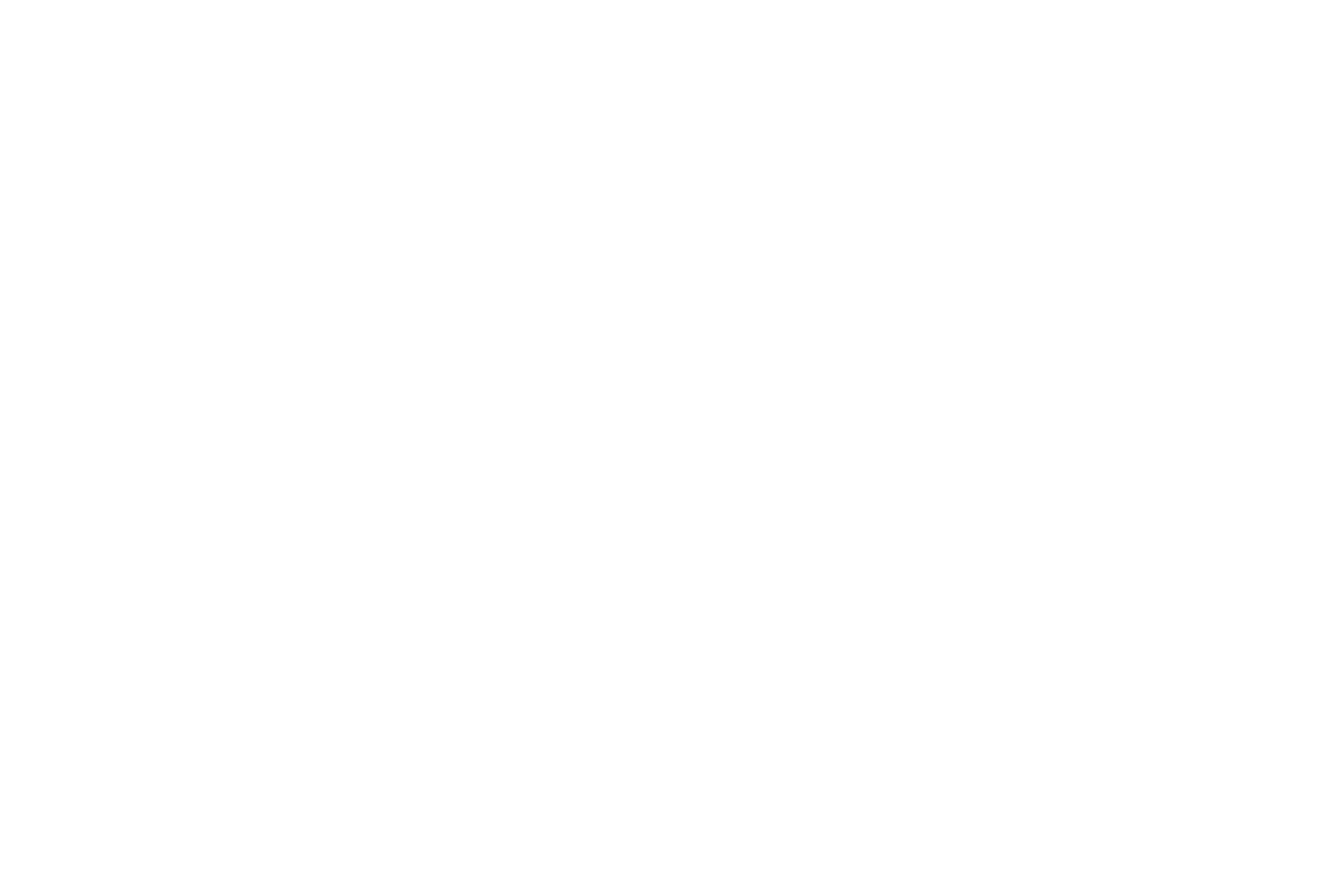 Hübner Logo svg