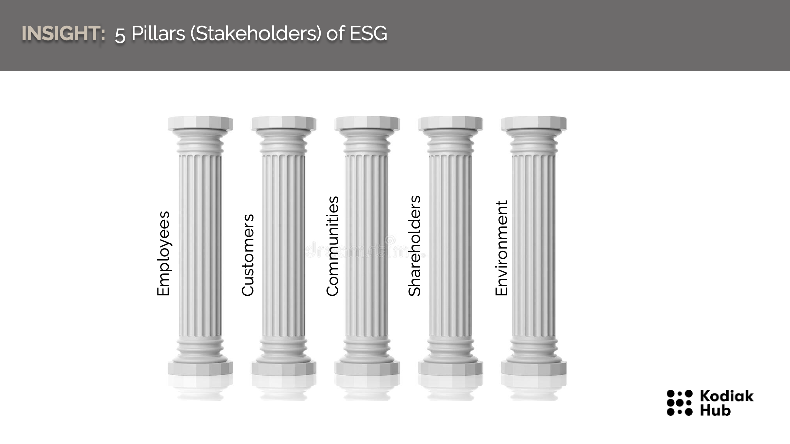 ESG Pillars