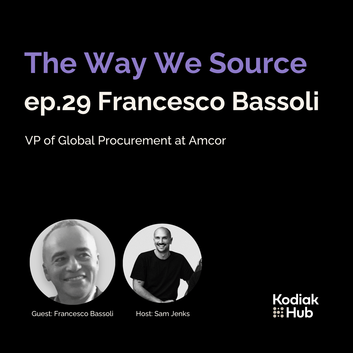 TWWS - ep 29 - Francesco Bassoli