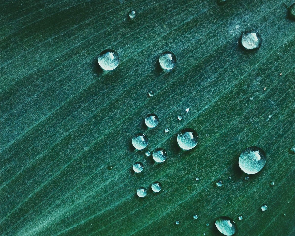 pexels-min-an-689326