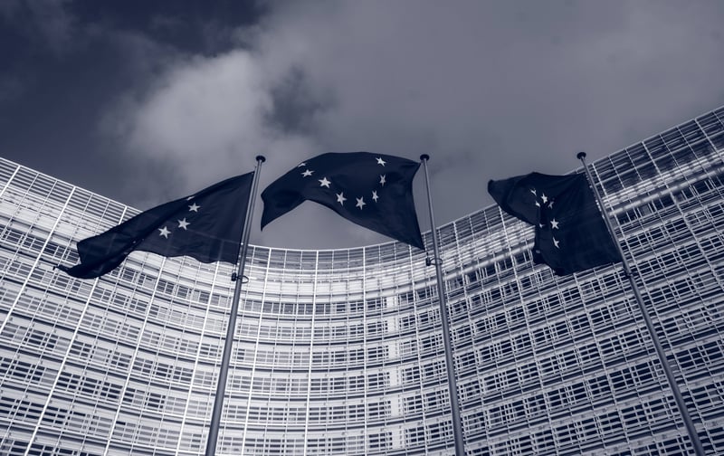 New EU Due Diligence Law: Effects On Your Supply Chain & How You Should Act