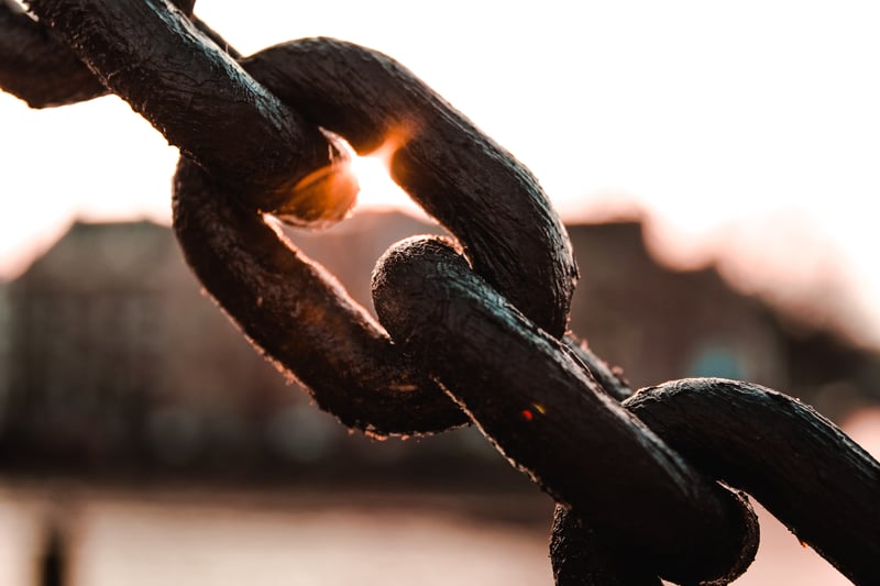 What's Procurements Place In The Value Chain?