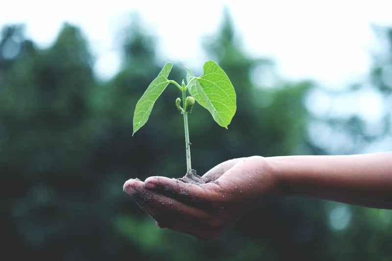 Responsible Sourcing: How To Make Sustainability Happen, For Real.