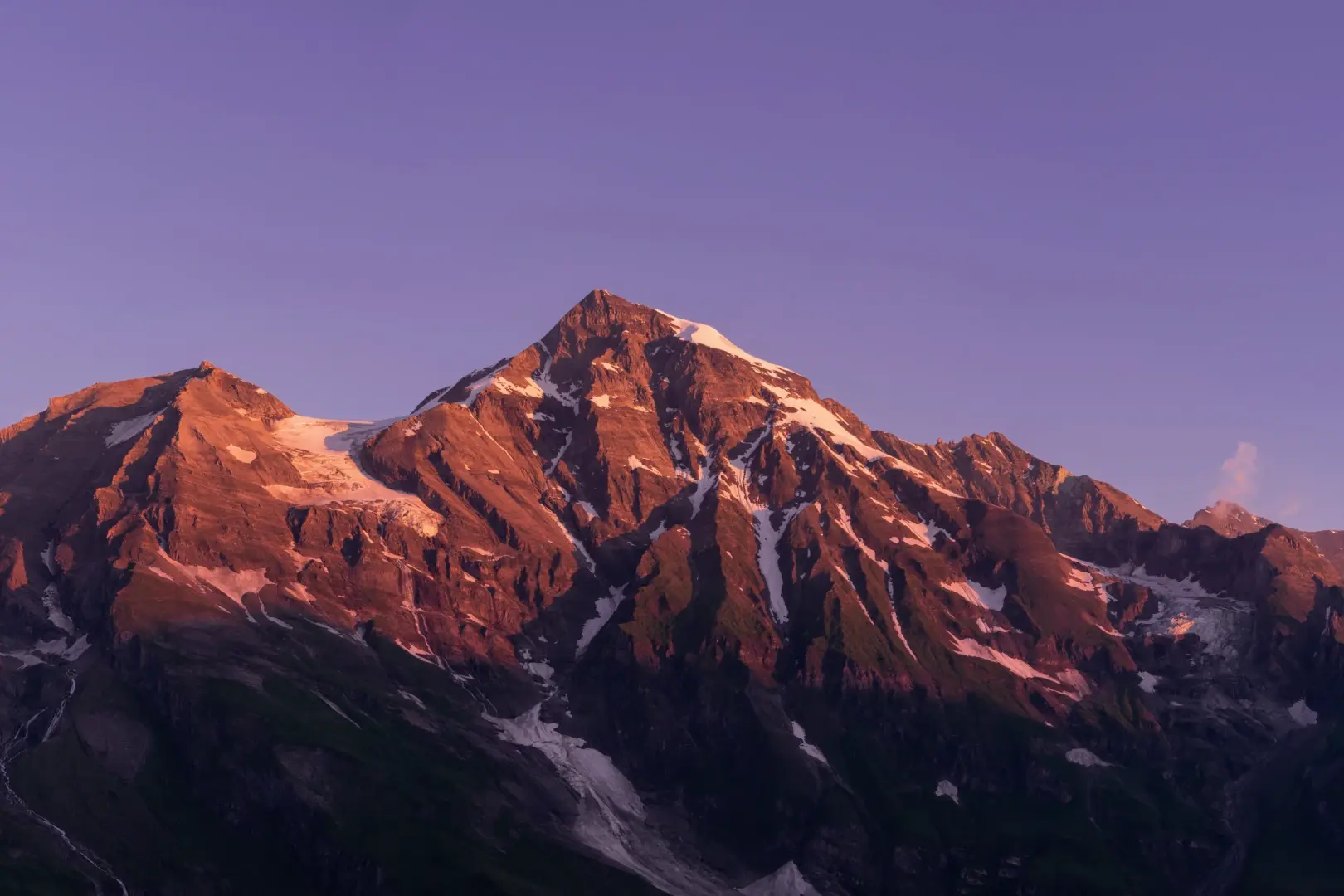 Project Procurement vs. Category Management: What's Right For You?