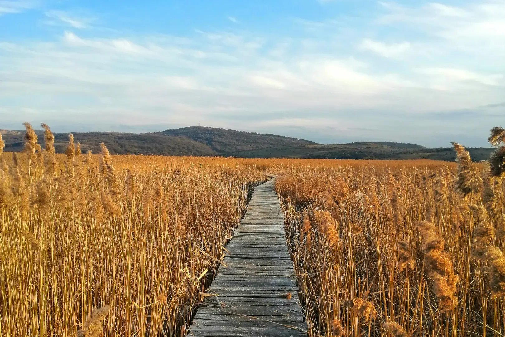 Supplier Performance Monitoring: Spot Risks Before They Happen